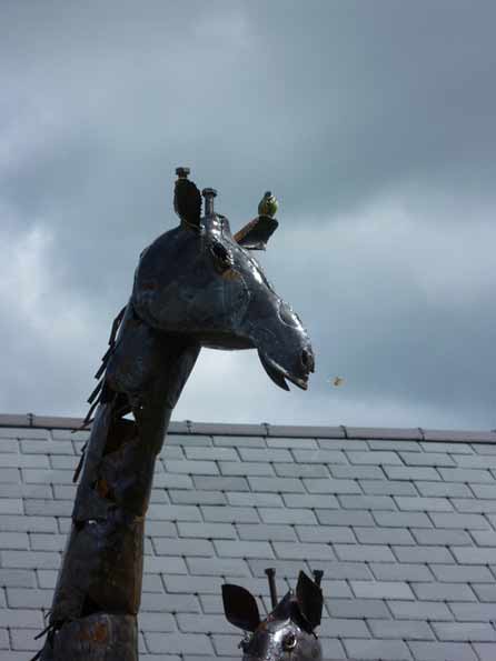 GiraffeBluetit by Sarah Furlong