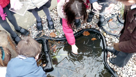 children pond dipping