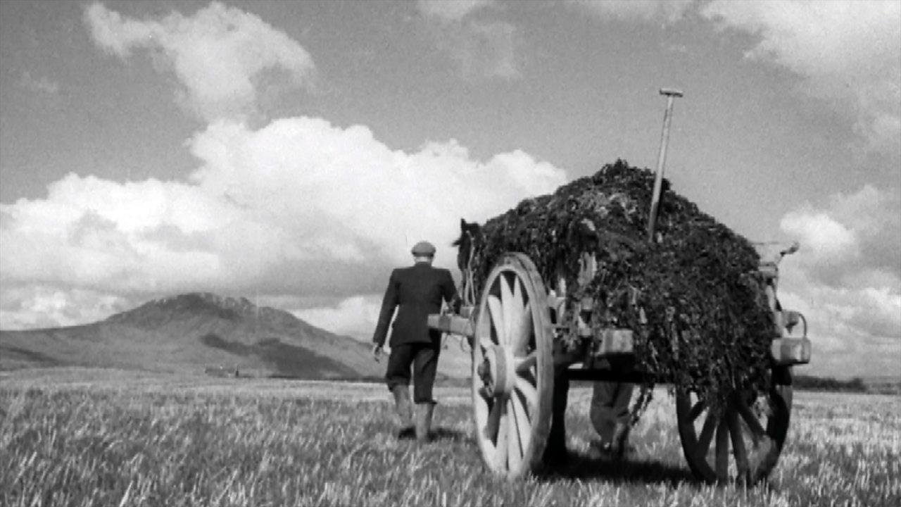 Where the praties grow, 1952