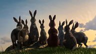 Adapting Watership Down for BBC One