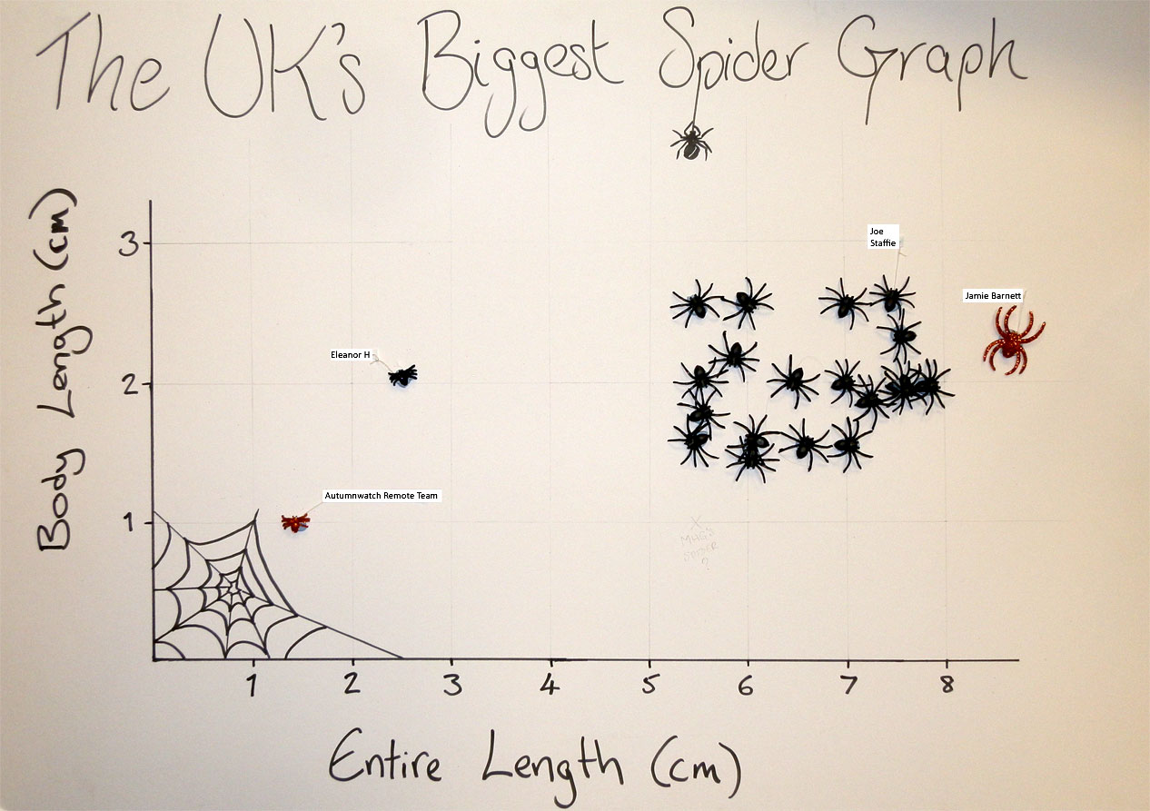 The UK's Biggest Spider Graph