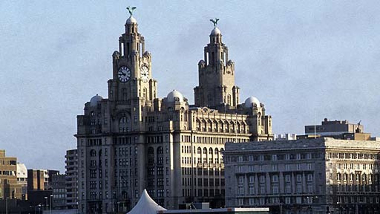 Dancing in the Rubble, 1982