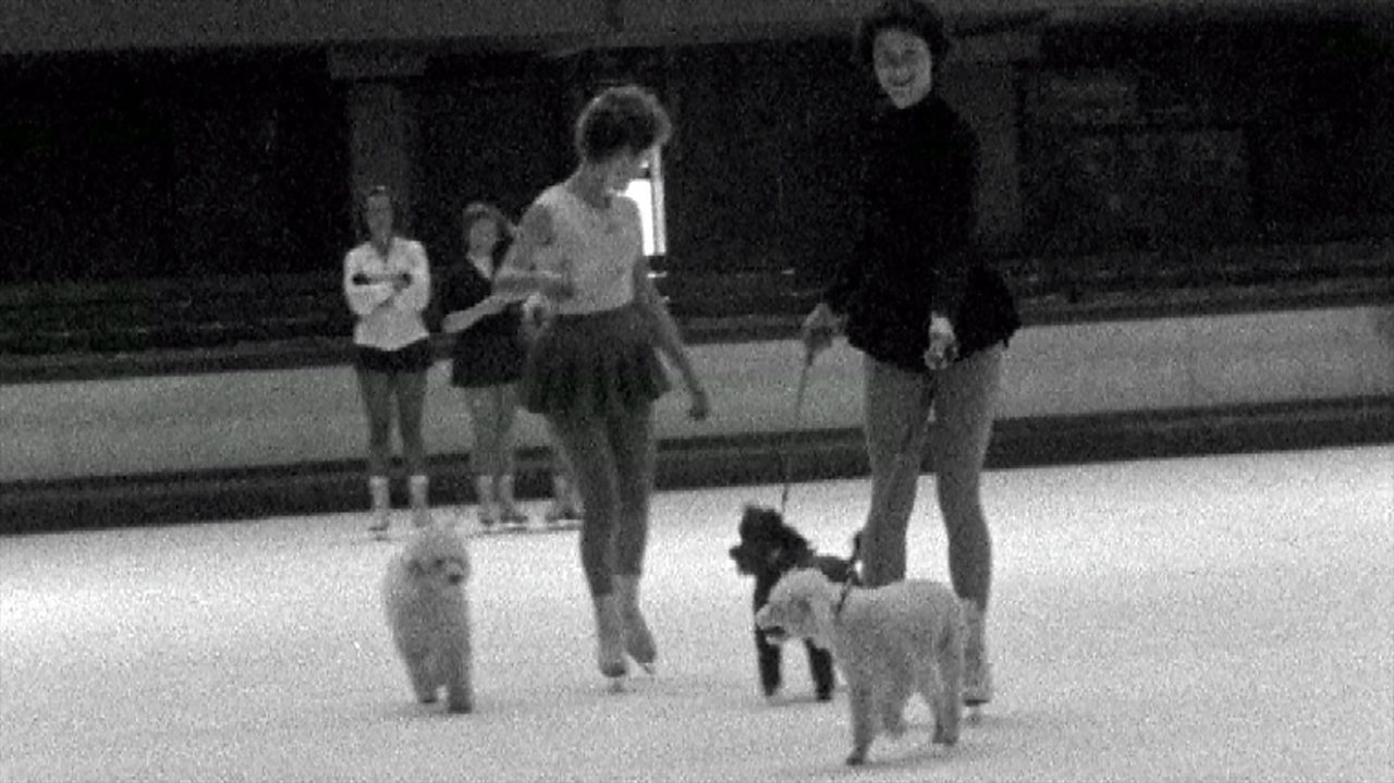 Hot dogs on ice, 1959