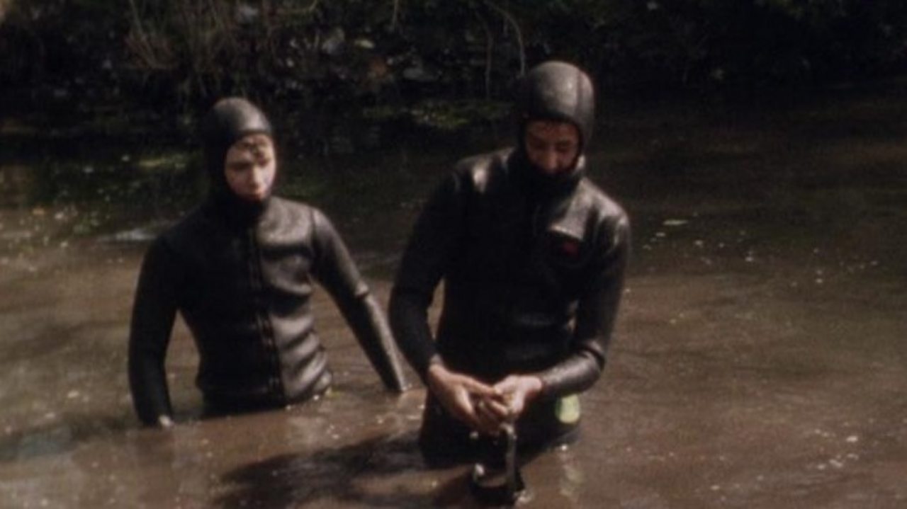 Killer fish of Ickham, 1977