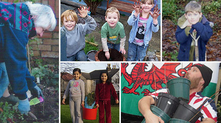 Tree O'Clock planters. Clockwise from left, pictures courtesy of: Ron Brooke, Rebecca Grey, Roger Kent, Gary Bourne, Whalley Range