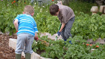 Schoolchildren gardening