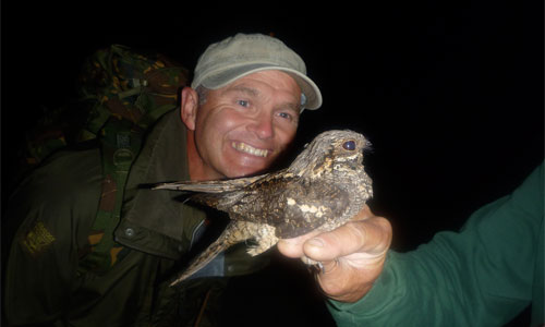 simon-king-nightjar.jpg