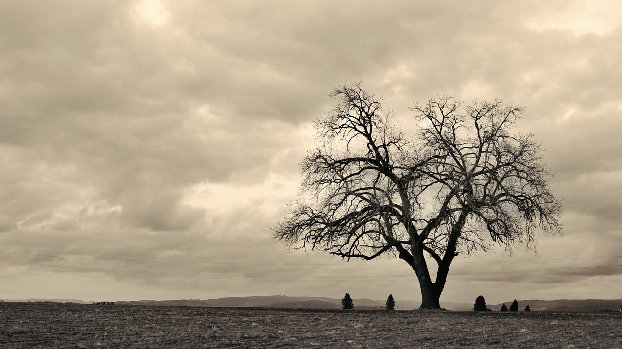 Beethoven: Quartet in A minor, Op 132