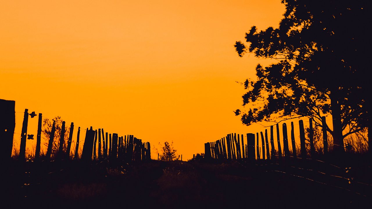 Brahms: Quartet No. 2 in A minor, Op 51 No. 2