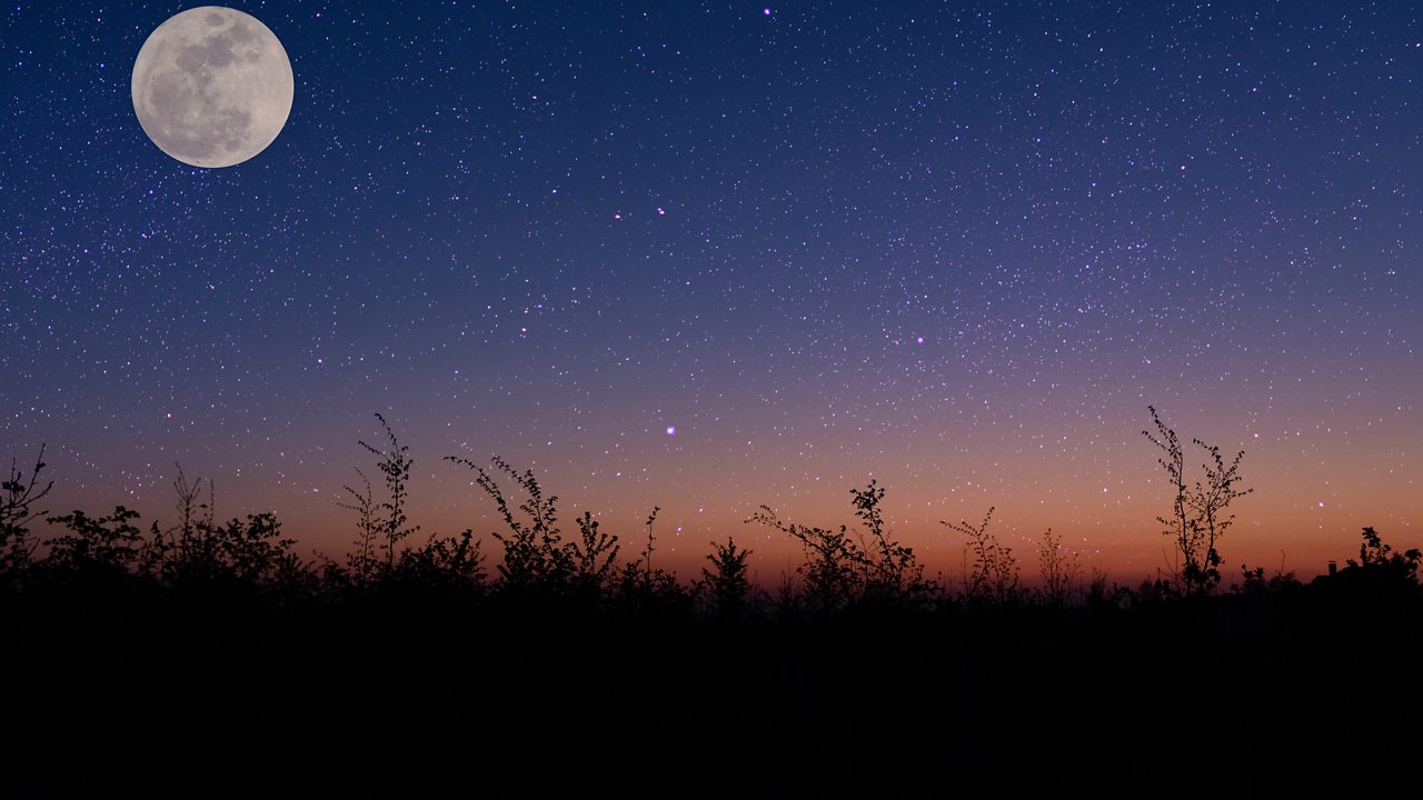 Mozart: Eine Kleine Nachtmusik