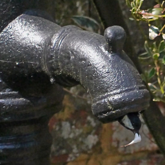 Great tit nest in water pump by BuzzRider150.jpg