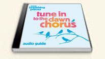 tune into the dawn chorus cd cover