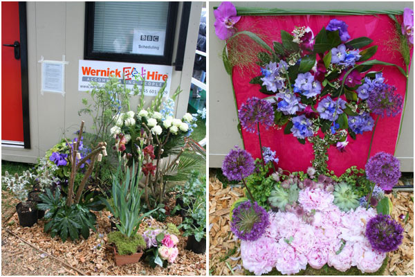 Production team's attempt at show gardens.jpg