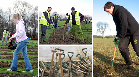 Tree planting on December 5th. Left and top: Gransha Park, Northern Ireland (courtesy Theresa Page); right: Heartwood Forest, Hertfordshire; bottom: Hainault, Essex