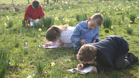 Schoolchildren working outdoors