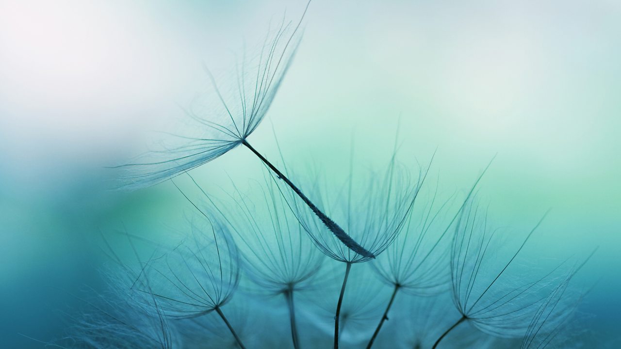 Beethoven: Piano Concerto No. 3 in C minor, Op 37