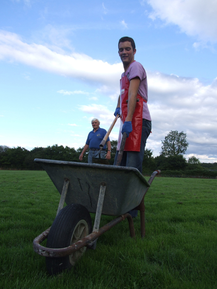 Glyn yn brysur wrth ei waith mewn canolfan sy'n gofalu am gwn - Great Dane Care, Caerfyrddin