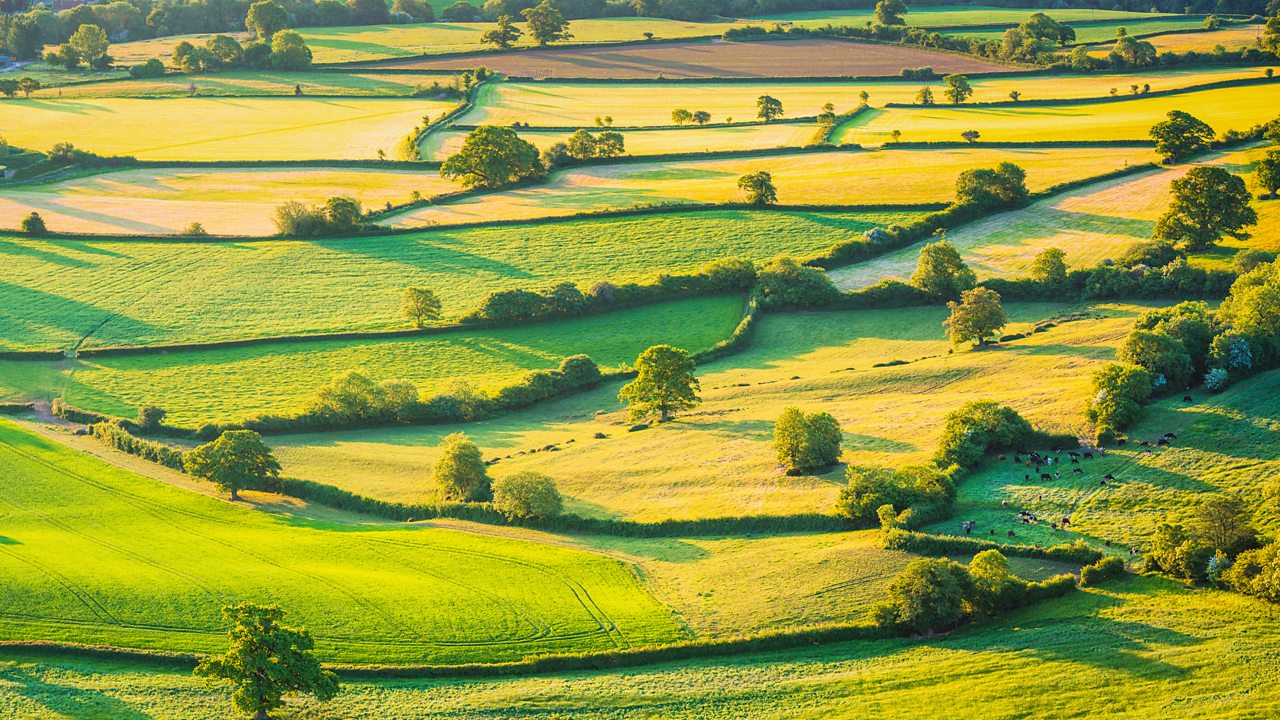 Alwyn: Symphony No. 1 in D major