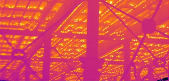 Thermal image of starlings under Aberystwyth pier