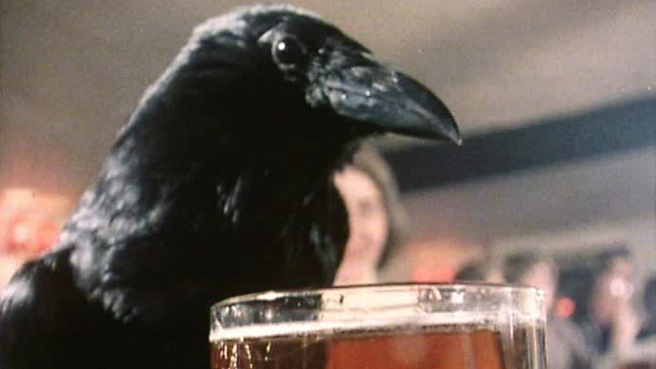 Real ale: Worth crowing about? 1977
