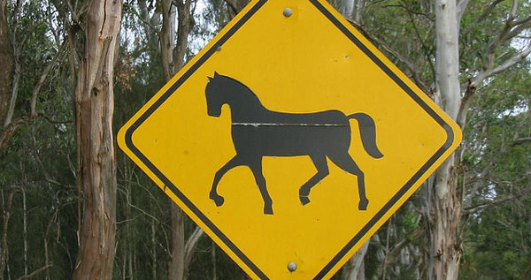 Sign warning of horses, from Australia