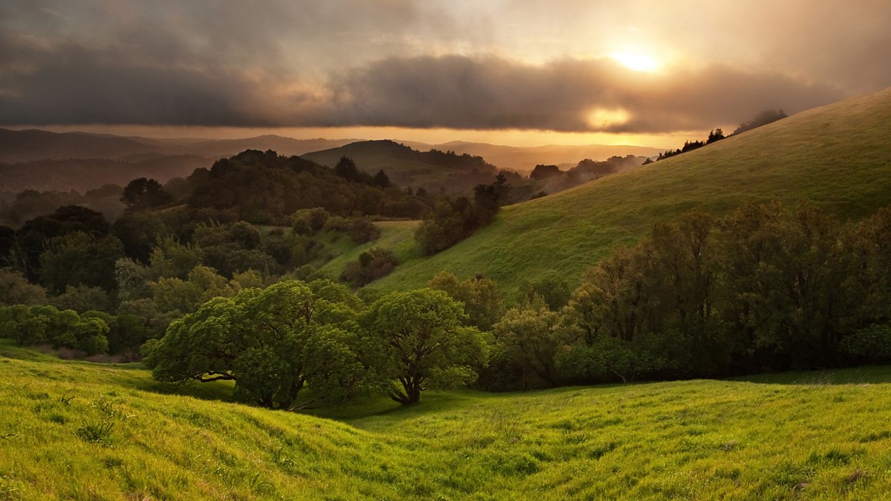 Dvořák: Symphony No. 8 in G major, Op 88