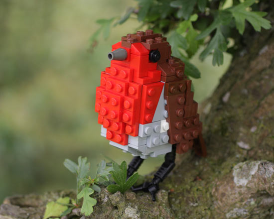 Robin lego