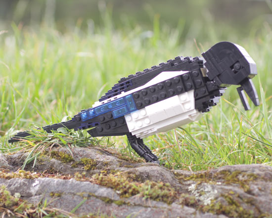 magpie lego