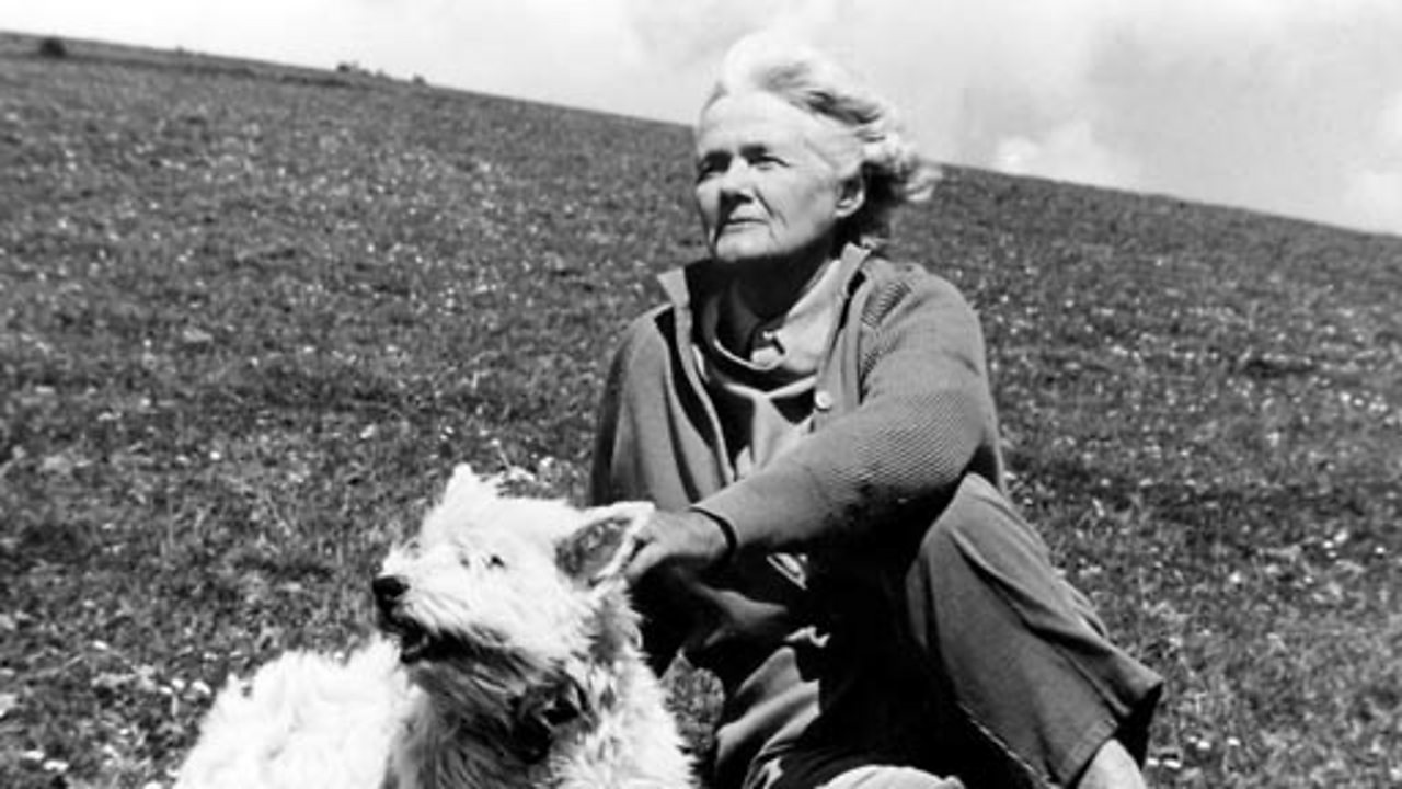 Summer Season - Daphne du Maurier