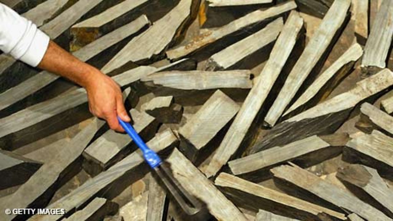 Omnibus - Richard Long