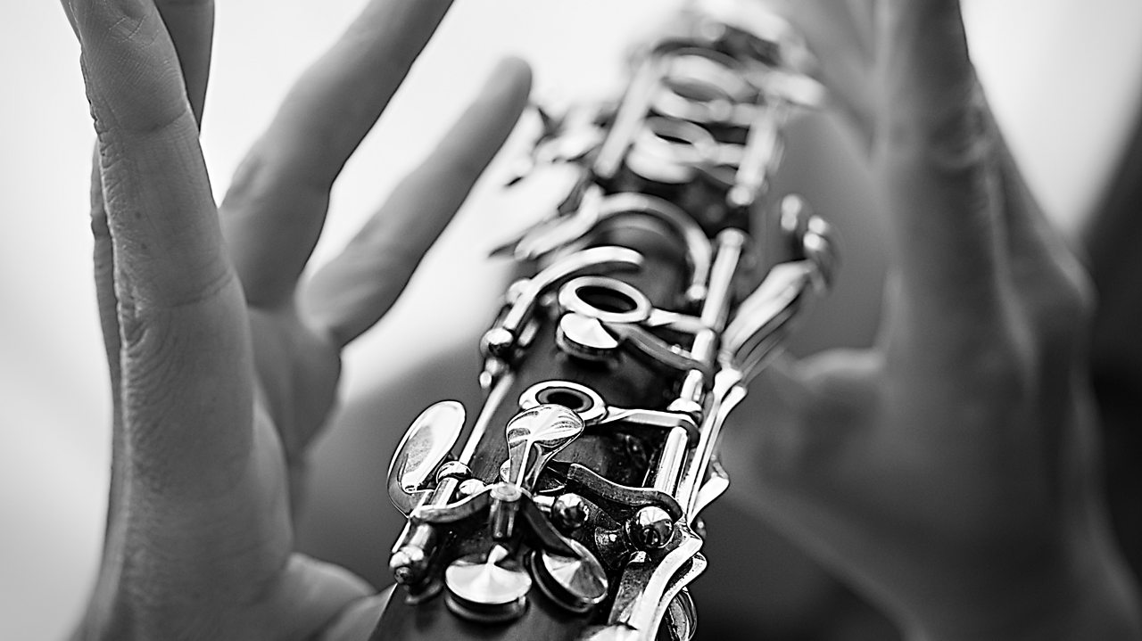 Brahms: Clarinet Trio in A minor, Op 114