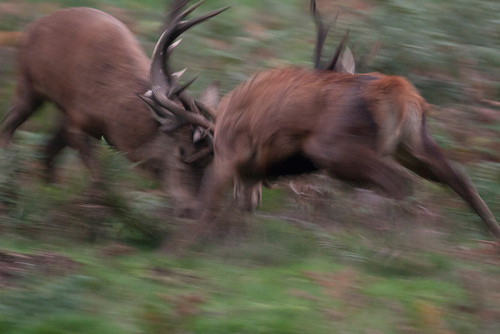 Clash of the titans by Richard Bond