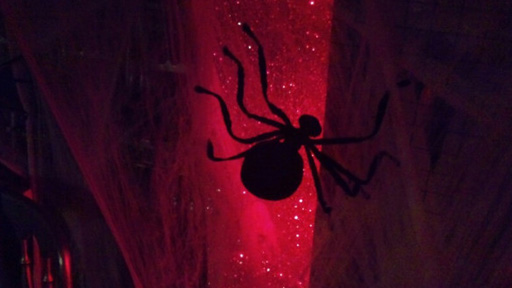 Spider in Strictly ballroom