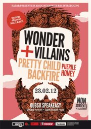 Wonder Villains poster