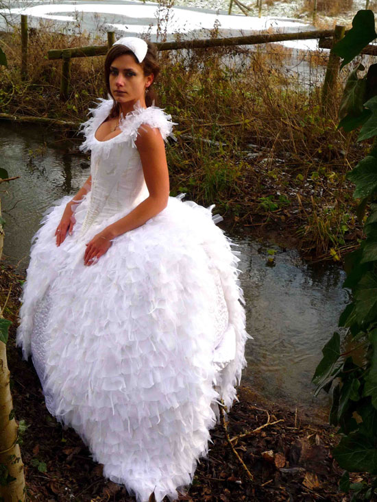 Mute-Swan-Kate Plumtree