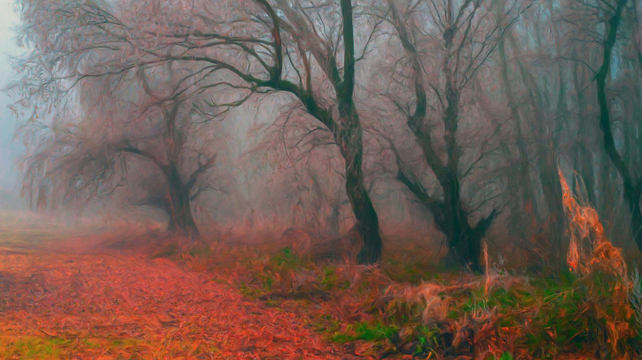 Brahms: 3 Intermezzi, Op 117 (ii)