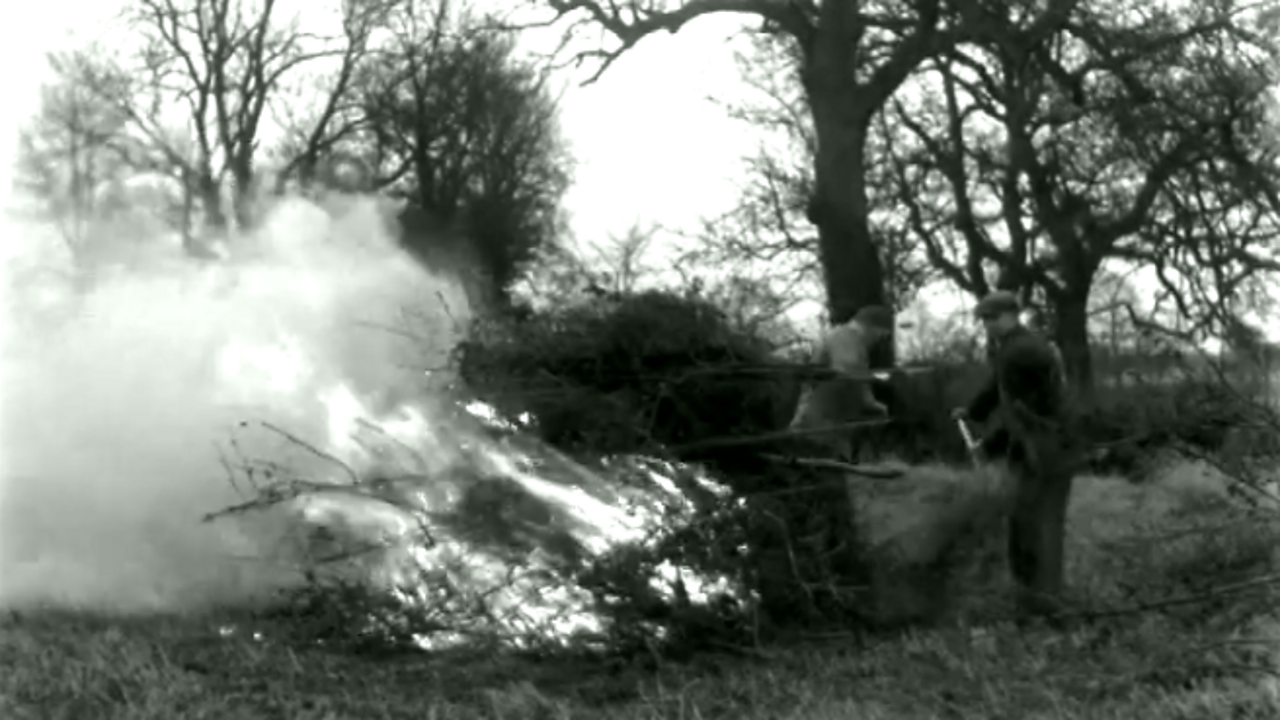 Bonfire interlude, 1953