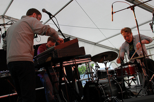 not square pigstock 2012