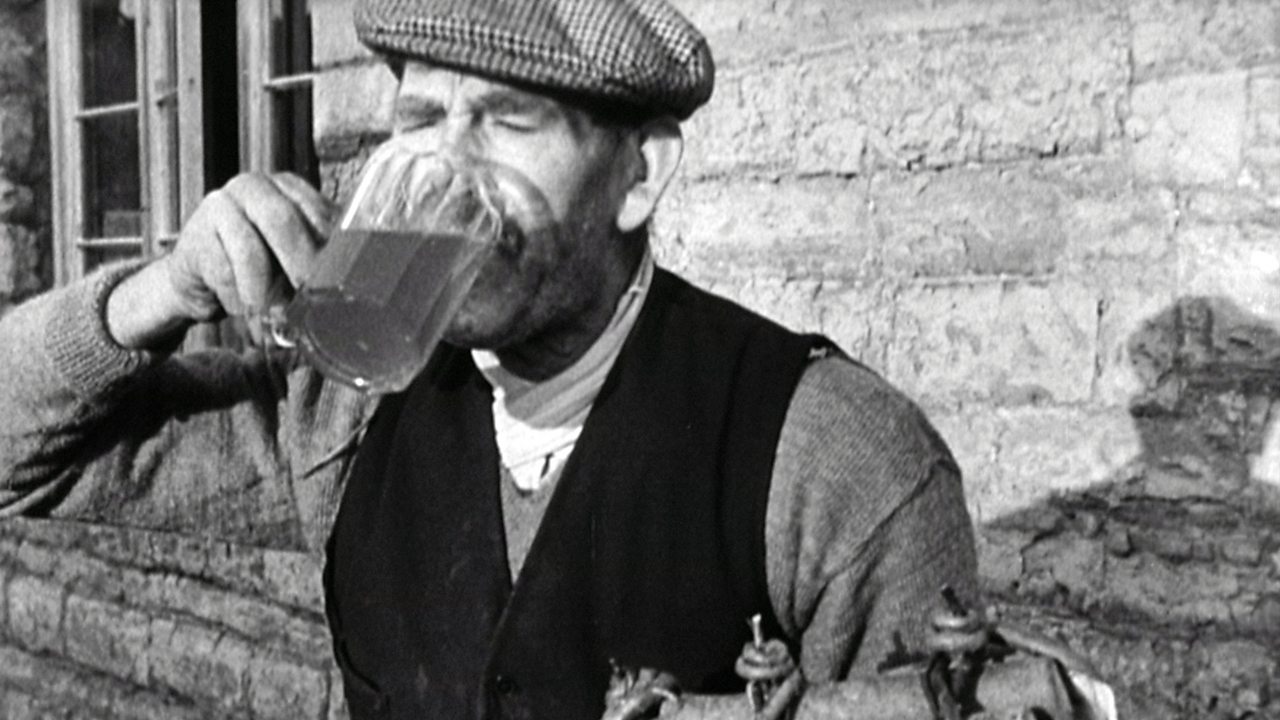 The 9th century art of wassailing, 1949