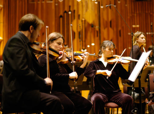 Violins at the Barbican, photograph taken by Lara Platman
