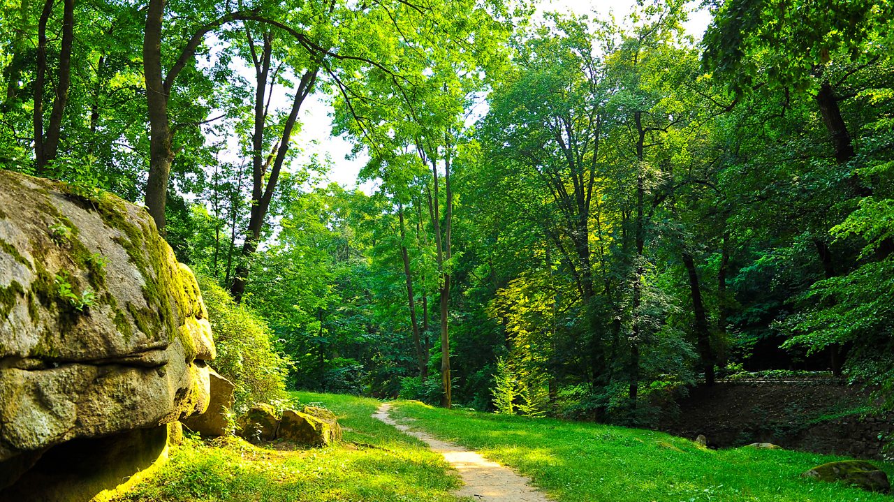 Tchaikovsky: Symphony No. 2 in C minor, Op 17, 'Little Russian'