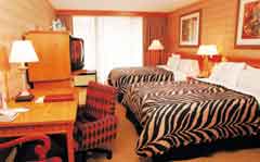 Zebra-striped bedding at the Sheraton Safari Hotel, Orlando