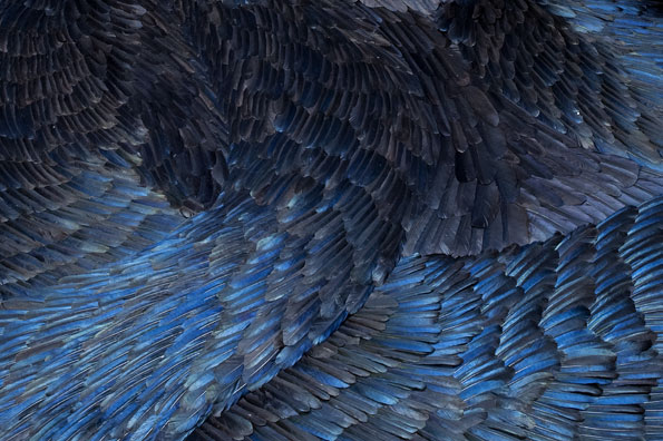 Slick detail by Kate MccGwire