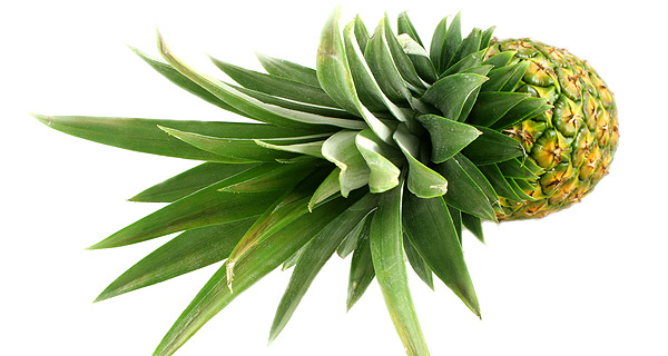 Pineapple