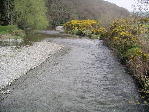 River shingle bank by Helen Roy CEH