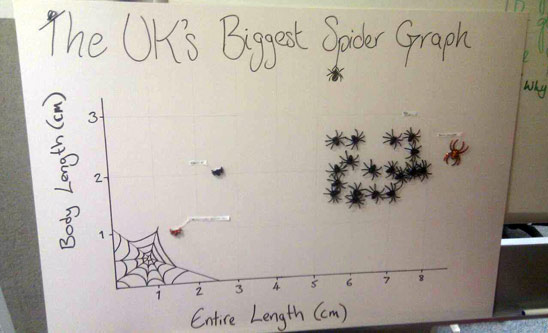 Unsprung spider graph