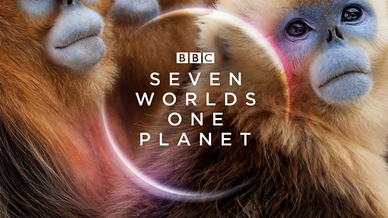 Seven Worlds One Planet: Soundtrack