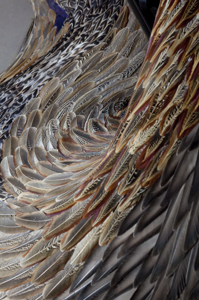 Evacuate by Kate MccGwire: Photo copy of Jonty Wilde