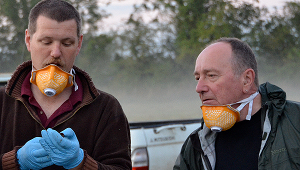 Steve Peacock on badger patrol