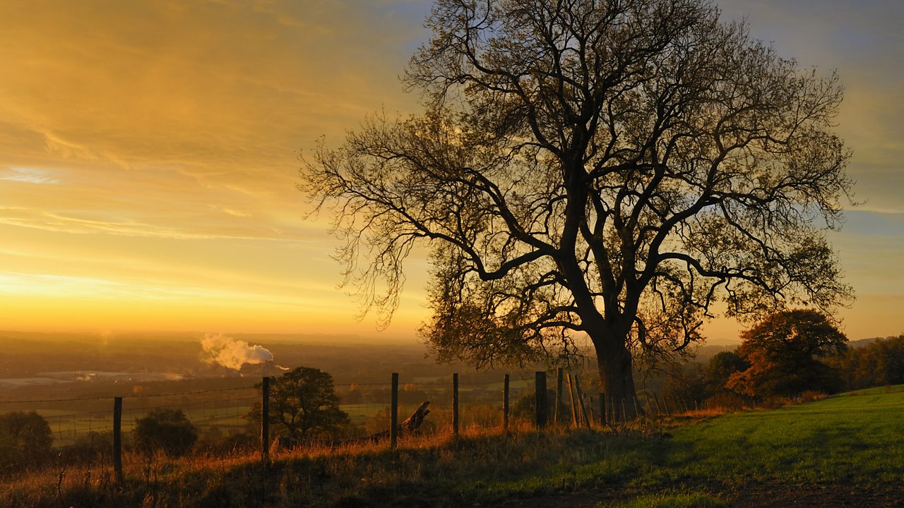 Britten: Folksong arrangements, vol 1 (The Ash Grove)